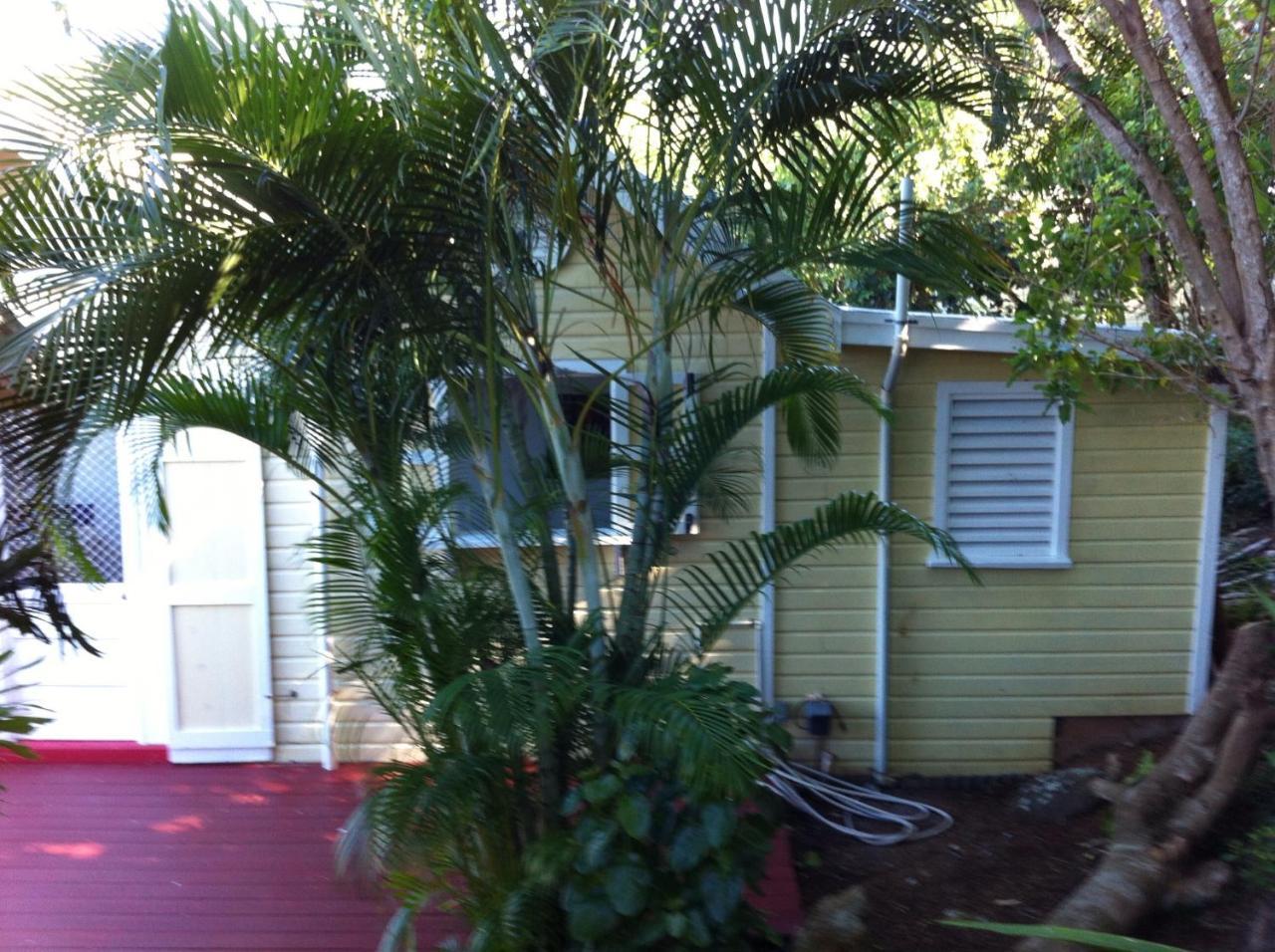 Calabash Cottage Five Islands Village Exterior foto